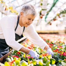 Travailler à la retraite et votre Régime de pensions du Canada (RPC)