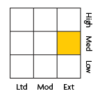 Fixed income style: Medium ext